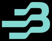 The Bancorp logo
