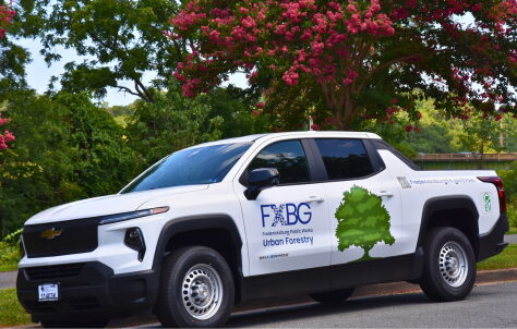 White Chevrolet electric pickup truck with FADO branding and green tree graphic on door