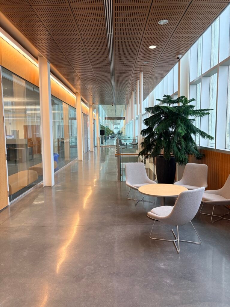 Modern office corridor with glass-walled offices, wooden ceiling, seating area with plant